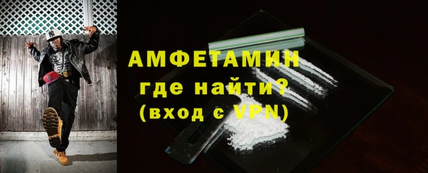 шишки Каменногорск