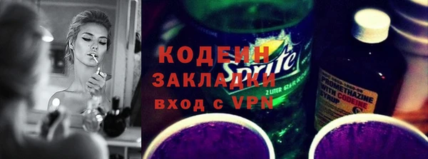 шишки Каменногорск