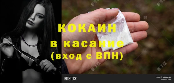 шишки Каменногорск