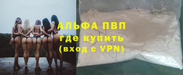 шишки Каменногорск