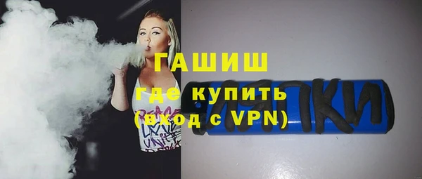 шишки Каменногорск