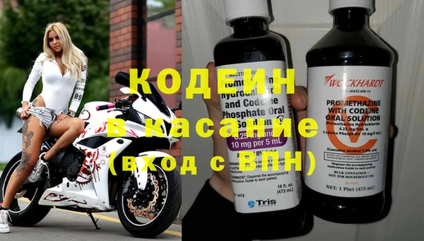 шишки Каменногорск