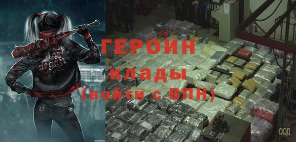 шишки Каменногорск