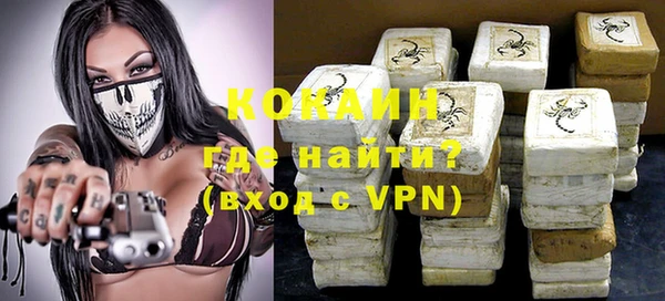 шишки Каменногорск