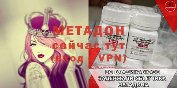 шишки Каменногорск